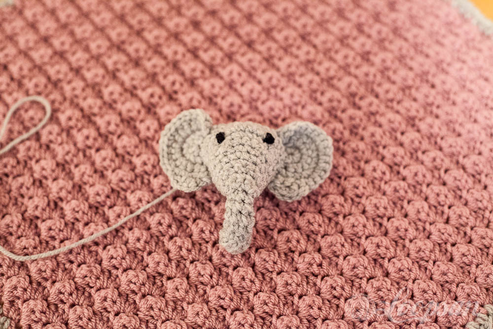 Elefant Head