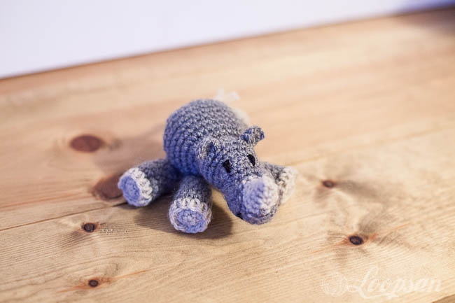 Rupert the rhino
