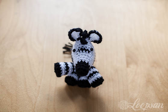 Zoe the zebra
