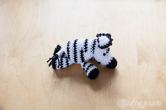 Zoe the zebra