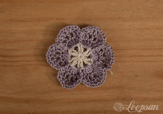 Sophie's Universe - Part 1